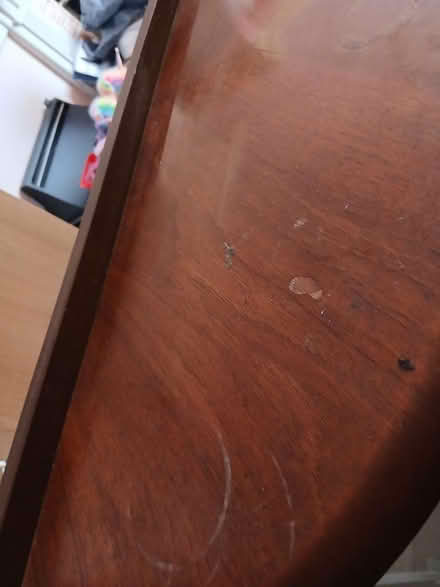 Photo of free Display unit (Knowles Hill TQ12) #4
