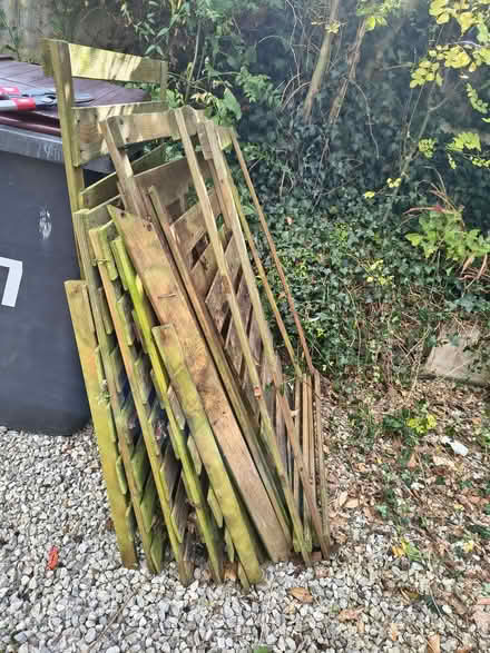 Photo of free Wood (Wellington TF1) #2