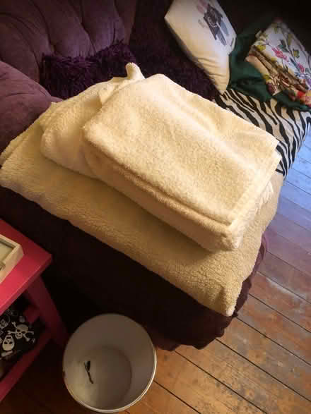 Photo of free Dog Towels (Gracemount EH17) #1