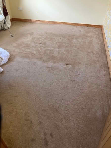 Photo of free Carpets (Danesfort Kilkenny) #1
