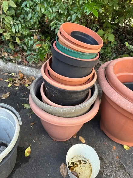 Photo of free Plant pots and garden canes (Great Boughton CH3) #2