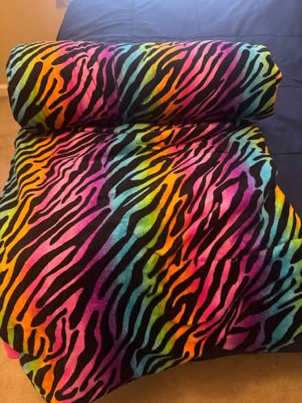 Photo of free Double sized rainbow comforter (North Charlottesville) #1