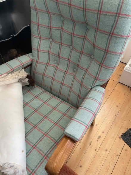 Photo of free Fab and Comfy Armchair! (Stockbridge EH4) #3