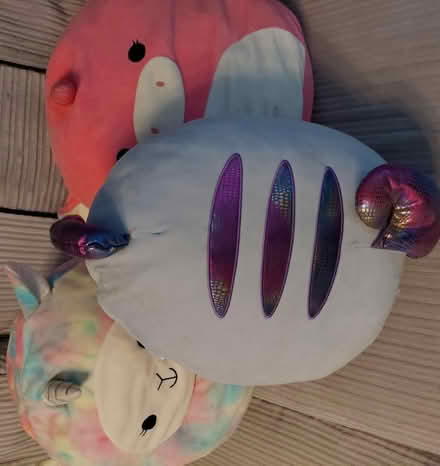 Photo of free 3 Large Squashmallow Plushies (Farnborough GU14) #2