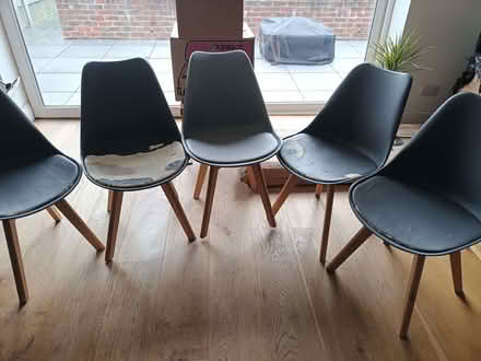 Photo of free Five dining chairs (Chipping Barnet EN5) #2