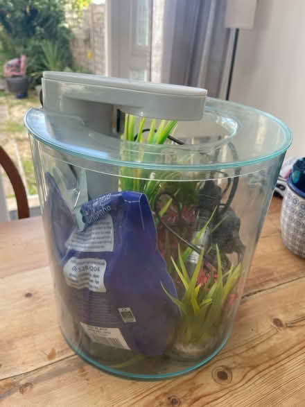 Photo of free Small fish tank & pump (Radley Road OX14) #2