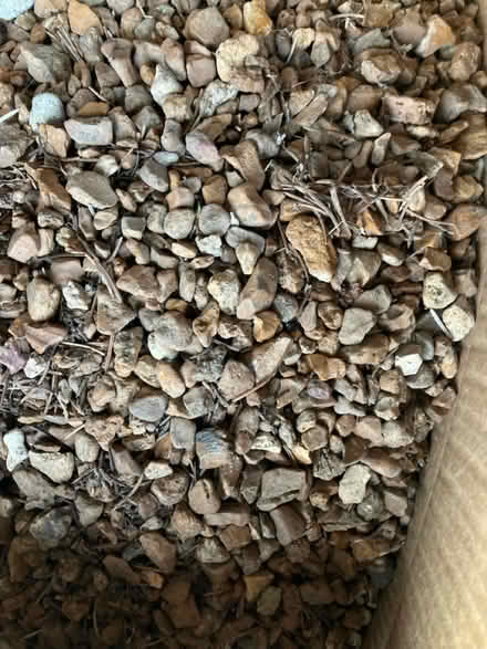 Photo of free 6 boxes landscape rocks (Southside Indy) #1