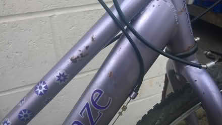 Photo of free Ladies bike (Tonbridge TN9) #3