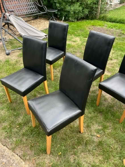 Photo of free Eight dining chairs (Chorleywood WD3) #1