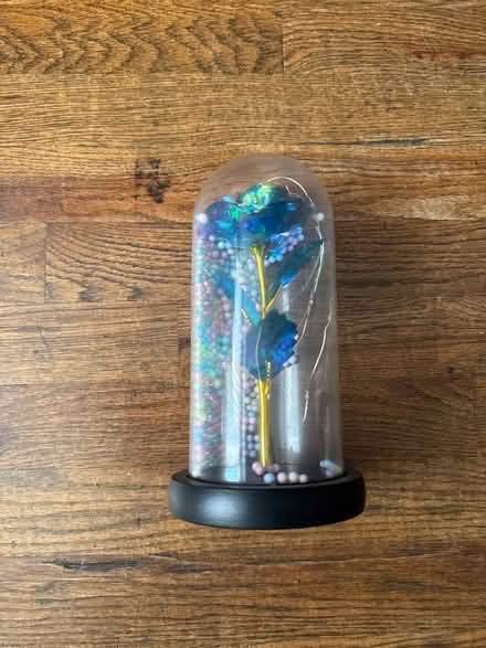 Photo of free Lighted Forever Rose - Blue (Clason Point Bronx NY) #2