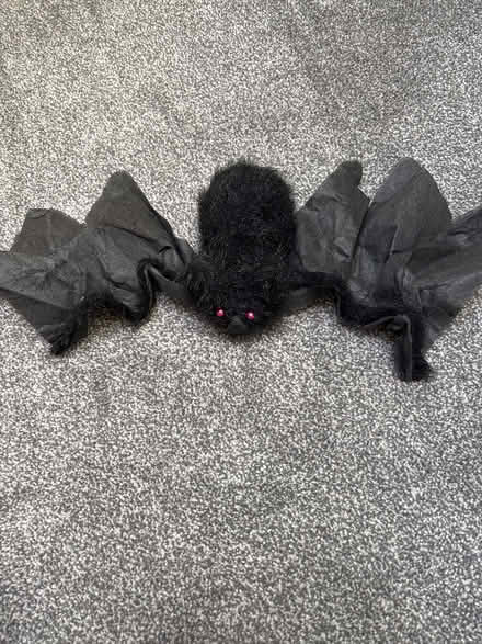 Photo of free Bat (Ashford, Surrey TW15) #1