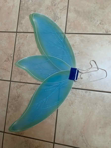 Photo of free Green “fairy” wings (Sunnyvale Birdland) #2