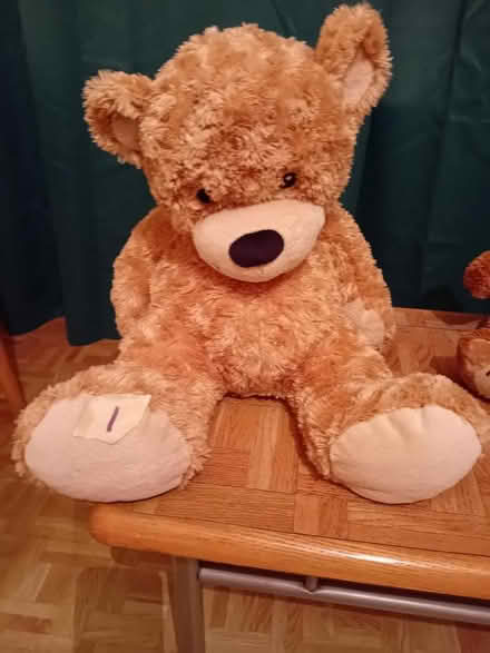 Photo of free teddies (Rose Hill OX4) #2