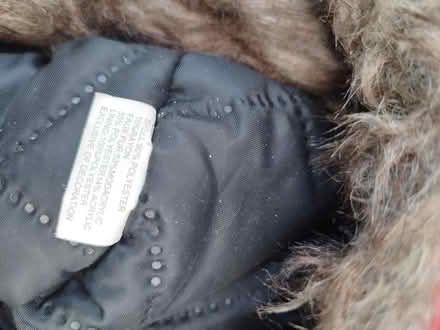 Photo of free Trapper hats (Morden SM4) #4
