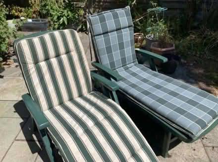 Photo of free Sun loungers (Chineham RG24) #2
