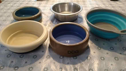 Photo of free Various dog bowls (Kirkdale) #1