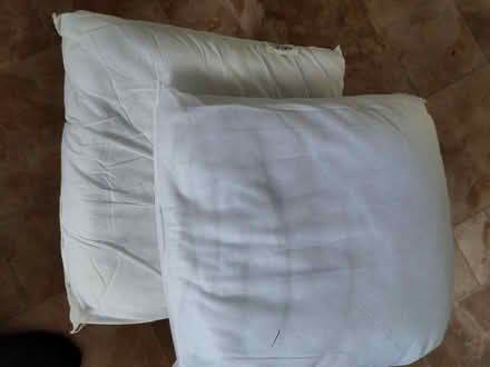 Photo of free 3 18" cushion pads (Morpeth, NE61) #1