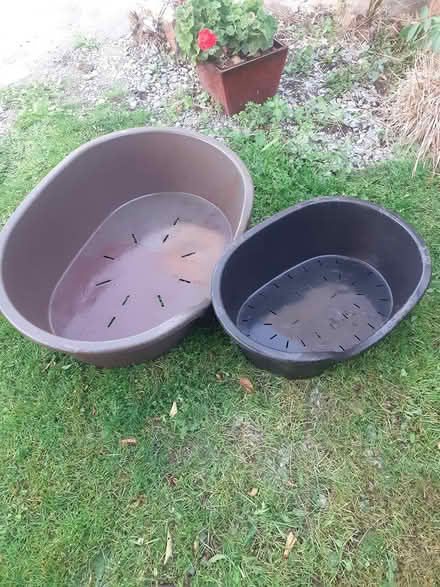 Photo of free 2 free plastic dog beds (D18 w2k6) #1