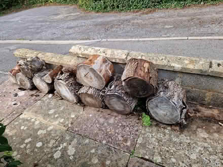 Photo of free Mature Logs for Splitting (BA15 Centre Bradford on Avon) #2