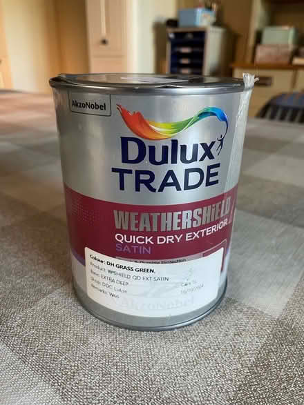 Photo of free Exterior wood paint: Grass Green exterior satin (De Parys MK40) #1