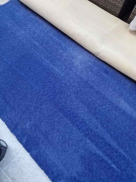 Photo of free Blue bedroom carpet (Portsmouth PO3) #1