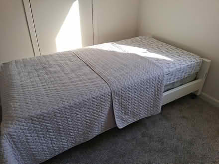 Photo of free Single beds (1307 Cedar St. Alex. MN, alley) #2