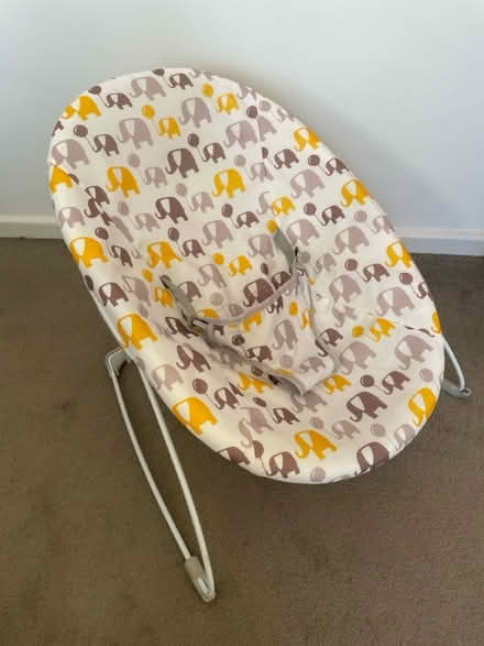 Photo of free Baby bouncer Chair (Barming) #1