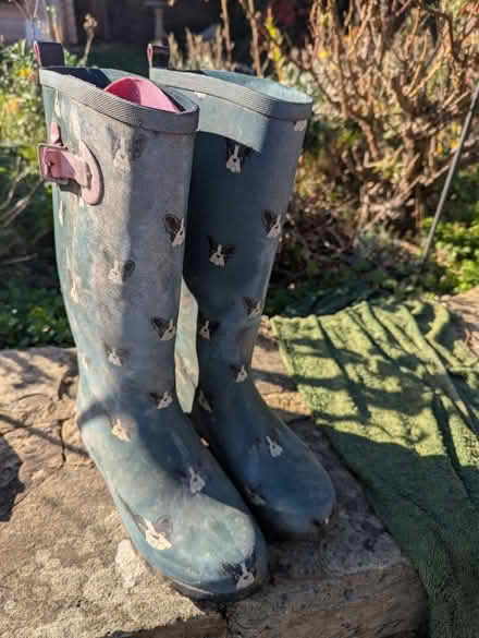 Photo of free Pair of wellies (Sheffield S12) #1