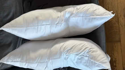 Photo of free John Lewis Pillows (E9) #2