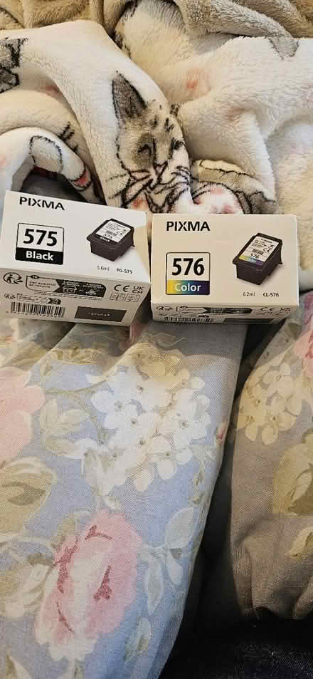 Photo of free Printer ink 575 576 (Hook RG27) #1