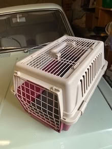 Photo of free Travel Box For Cat etc (Farlington PO6) #1