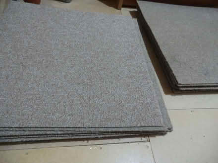 Photo of free Carpet Tiles 50cm x 50cm (Mannofield AB10) #3