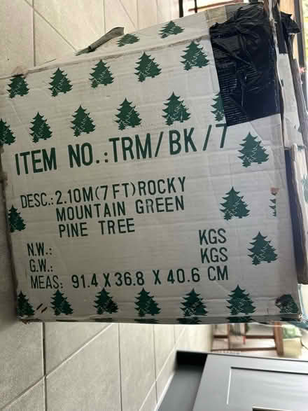Photo of free Coeden Nadolig/Christmas tree (Tregarth LL57) #2