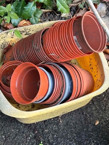 Photo of free Plant pots and garden canes (Great Boughton CH3) #3
