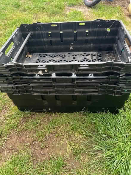 Photo of free 4 stacking crates (Ipswich IP2) #1