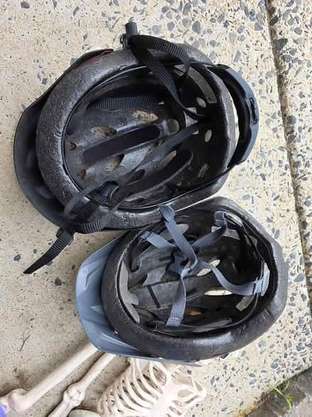 Photo of free Bike helmets (M- Section Bowie) #2
