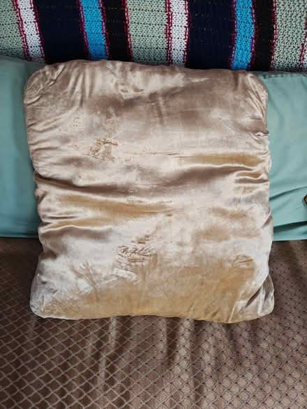 Photo of free Soft yellow decorative pillow (Hamilton Heights) #2