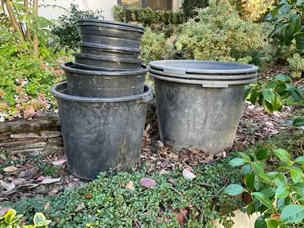 Photo of free Nursery planter pots (Laurelhurst, 1 mi s of uvill.) #1