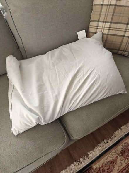 Photo of free Buckwheat husk pillow (Brighton BN1) #1