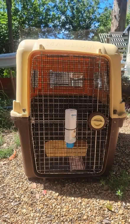 Photo of free XL Dog Travel Crate - IATA Approved Airline Cage (West Norwood SE27) #1