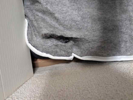 Photo of free Double mattress (Stevenage SG2) #3