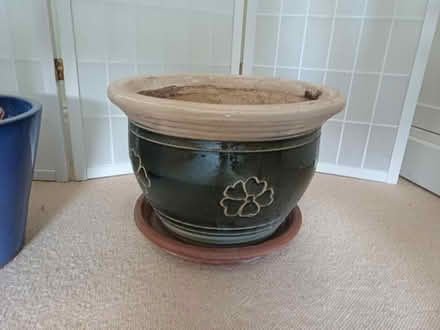 Photo of free Plant pots & plants (TW1) #4