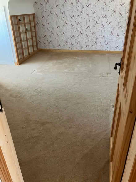 Photo of free Carpets (Danesfort Kilkenny) #2