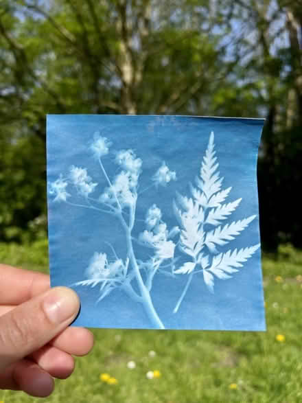 Photo of free Cyanotype kit (Woodside G20) #2