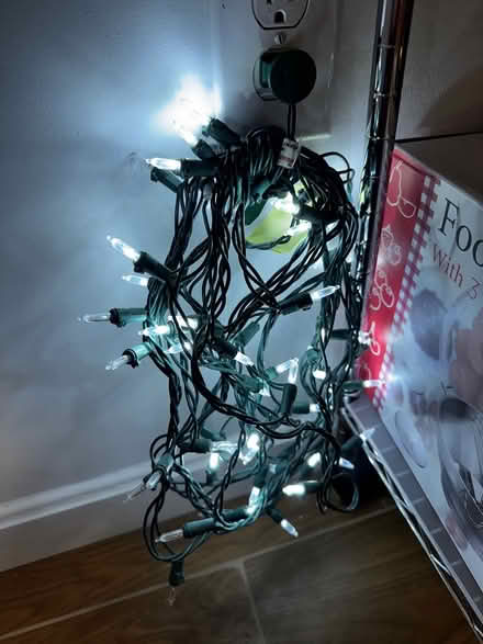 Photo of free Cool white outside Christmas lights (Arlington Heights) #1