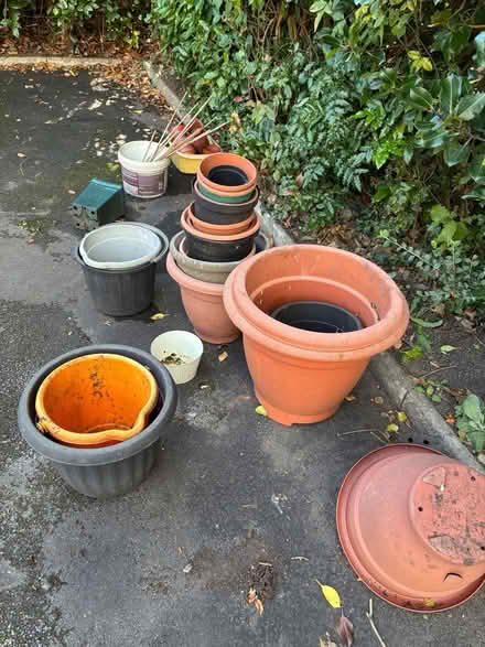 Photo of free Plant pots and garden canes (Great Boughton CH3) #1