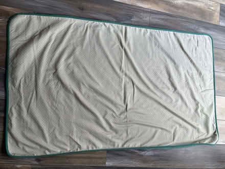 Photo of free Funny Fuzzy fleece sofa cover for pets, in teal colour (Beckenham BR3) #3