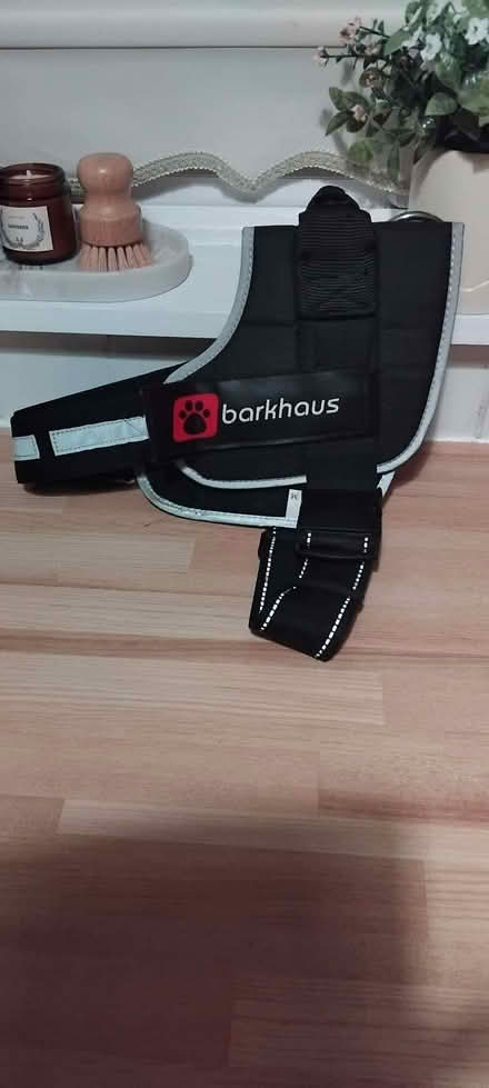 Photo of free Medium size Dog Harness VGC (Downall Green WN4) #1