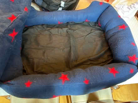 Photo of free Pet / dog / cats bed (Great Boughton CH3) #2