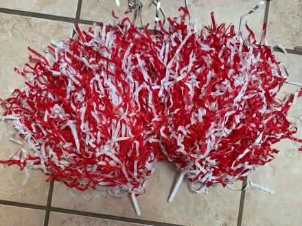 Photo of free Pom poms (Sunnyvale Birdland) #2